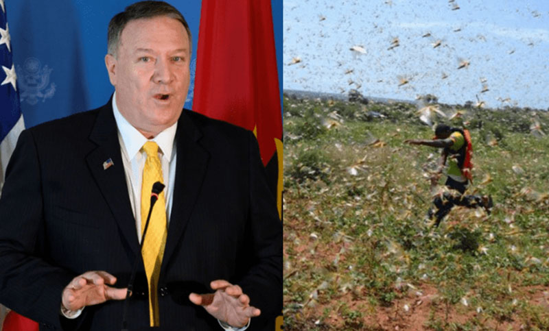 U.S to provide Ksh.800M funding for locust control in Kenya, Ethiopia, Somalia