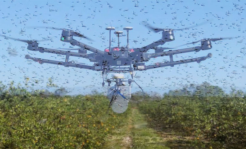 Tanzania Hires Highly Technical Planes To Spray Marauding Locusts