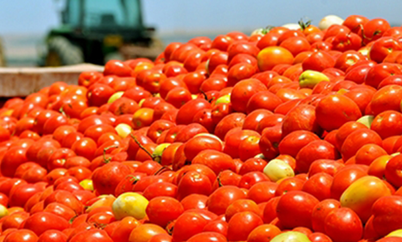 Kenyan traders Import Tomatoes from Ethiopia