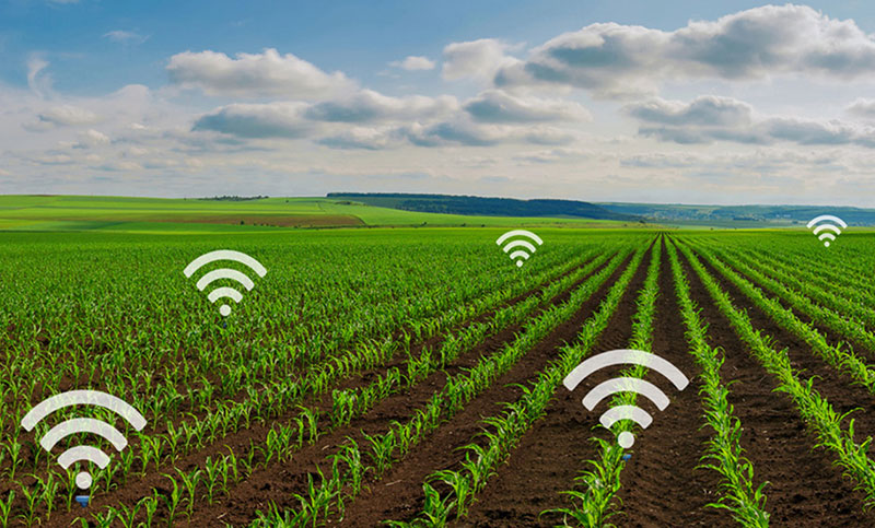 Kenya’s new Digital strategy to lift Agriculture Sector