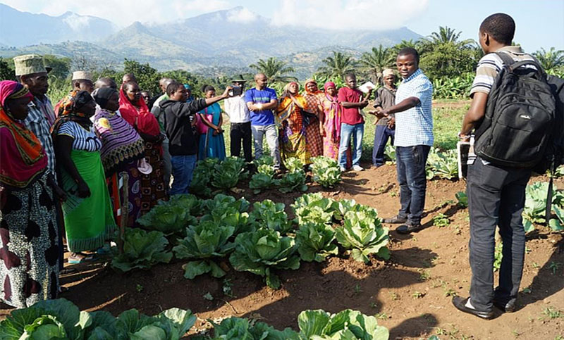 French embassy to conduct conference on agroecology in Tanzania