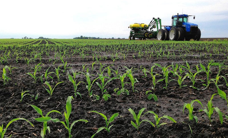 Kenya's economy to grow on stable agriculture